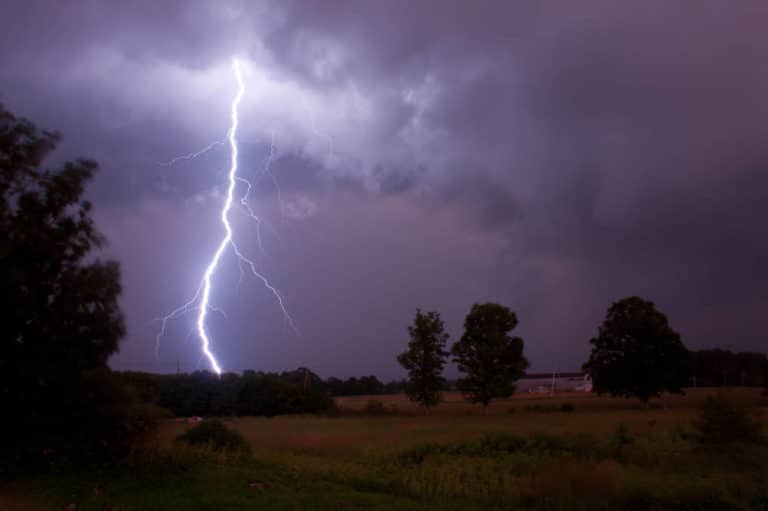 Haben Kaninchen Angst vor Gewitter? Wir verraten es dir in diesem Beitrag