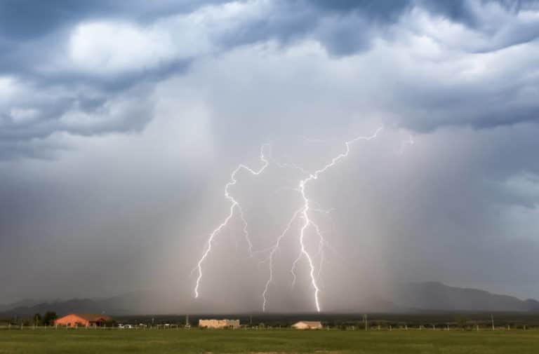 Haben Meerschweinchen Angst vor Gewitter? Das kannst du tun