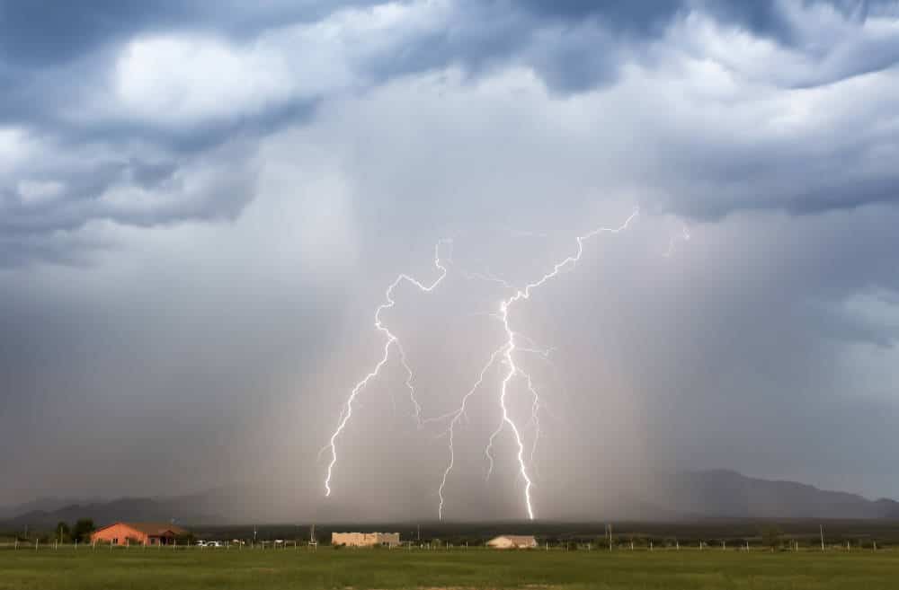 Haben Meerschweinchen Angst vor Gewitter? Das kannst du tun