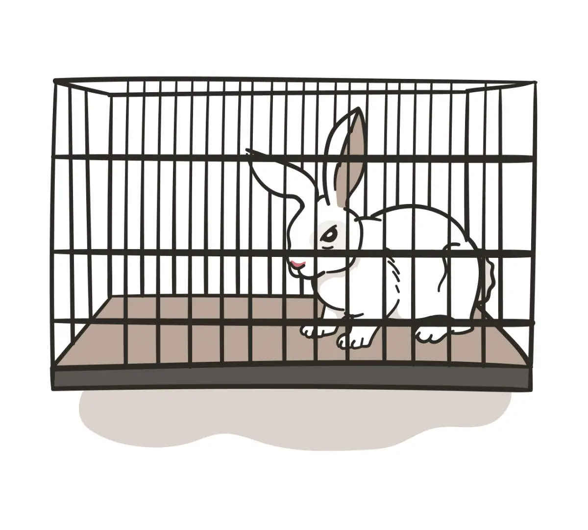 Im Sterbeprozess wird dein Kaninchen teilweise apathisch in seinem Stall sitzen.