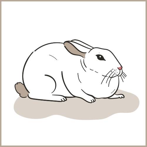 Wenn dein Kaninchen geduckt sitzt und die Ohren angelegt hat, dann fürchtet es sich in der Regel