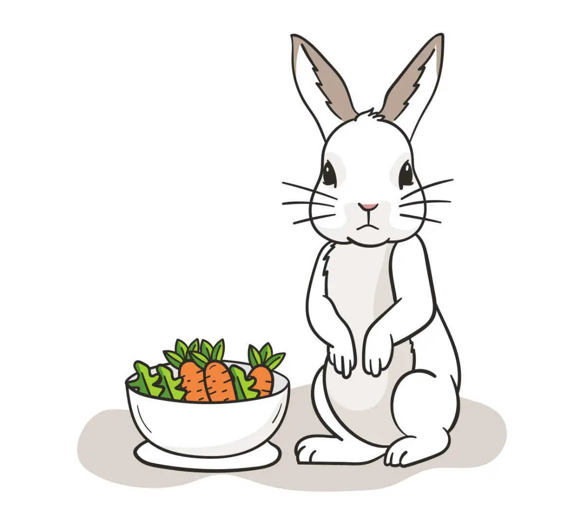Wenn dein Kaninchen stirbt, wird es im ersten Schritt keinen Appetit mehr haben