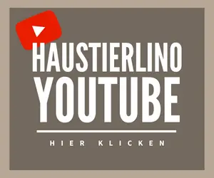 Haustierlino-YouTube-Kanal-Banner