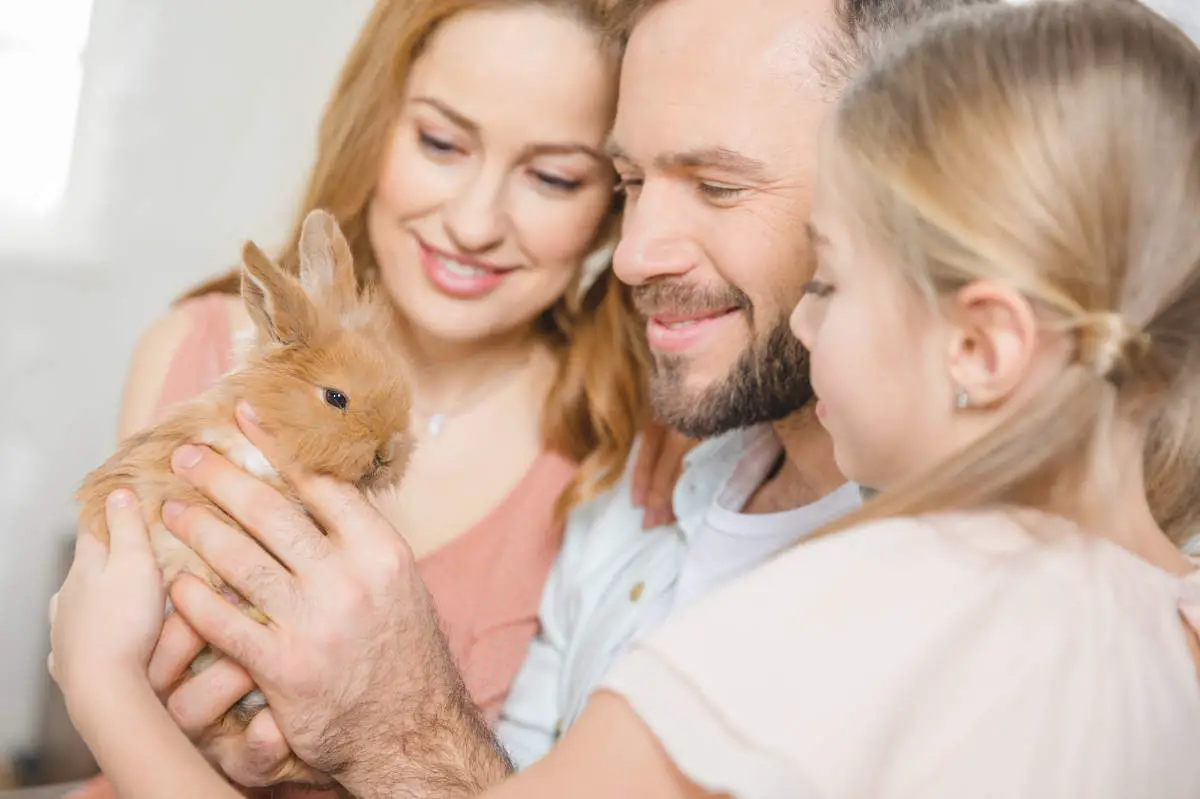 Familie mit einem Kaninchen auf dem Arm