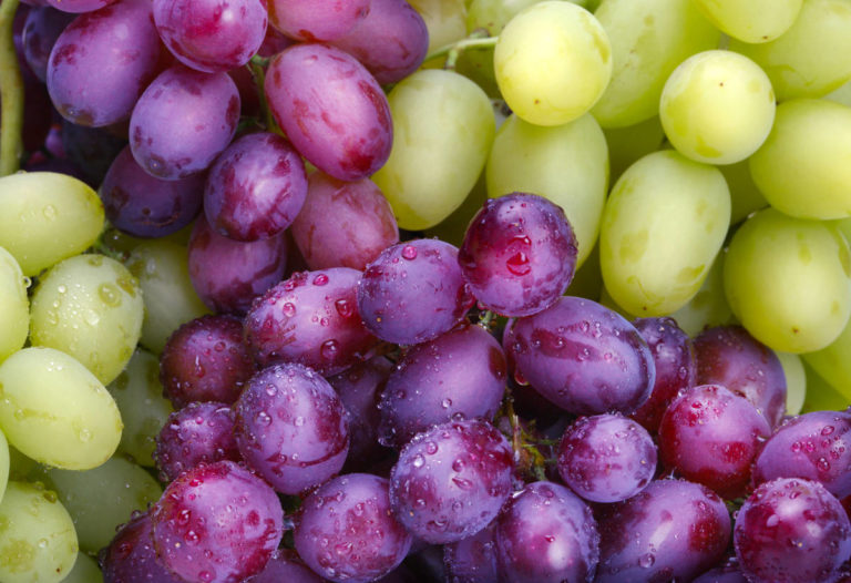 Dürfen Rennmäuse Weintrauben essen - Titelbild
