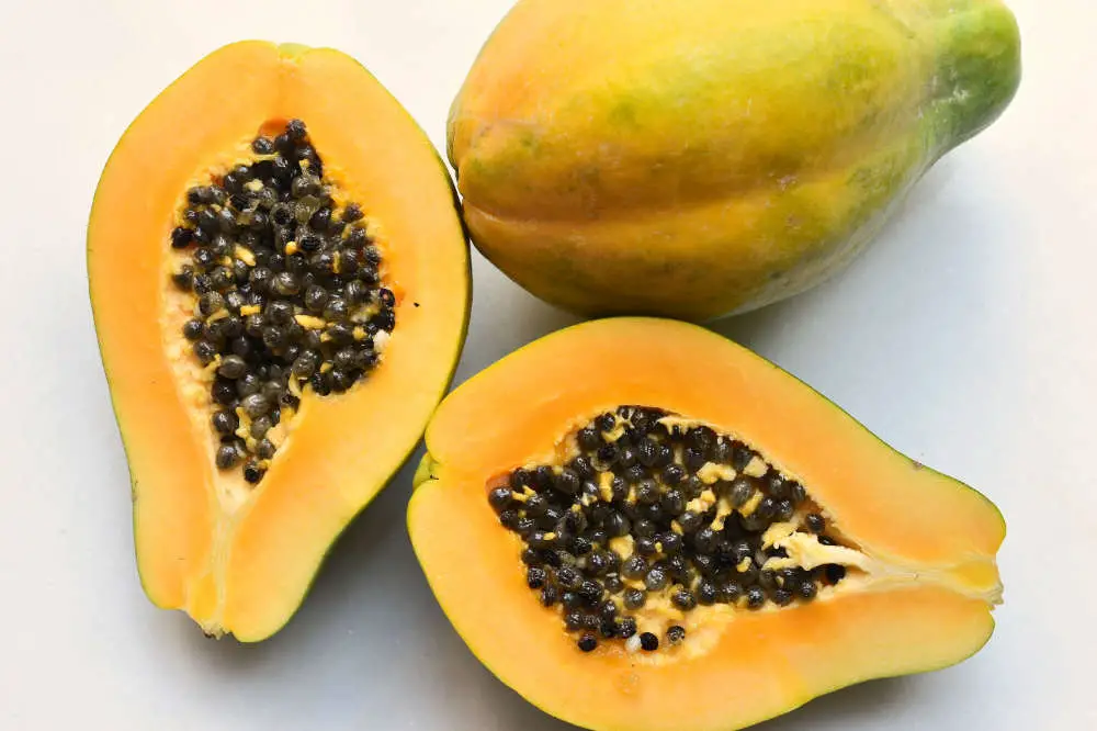 Dürfen Kaninchen Papaya essen