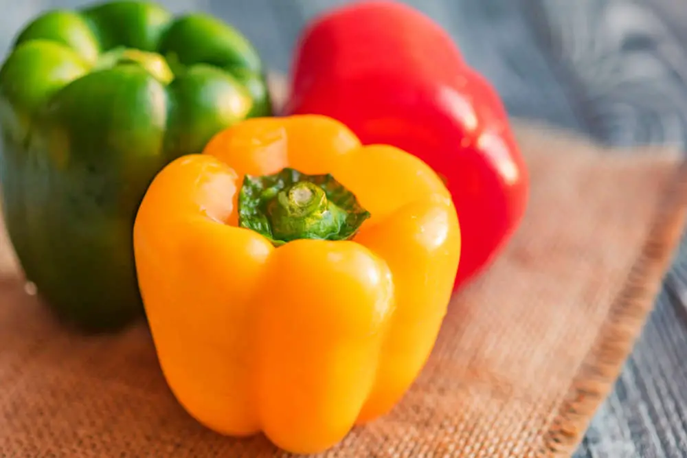 Paprika ist in allen Farben gut für Kaninchen geeignet