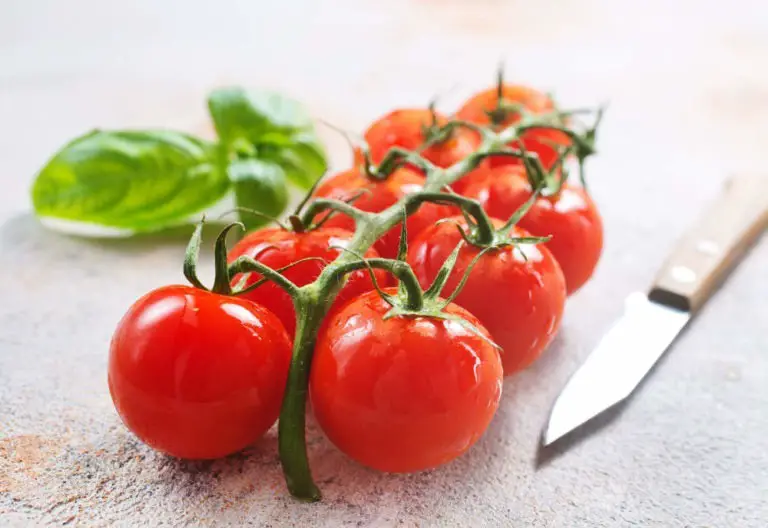 Dürfen Hamster Tomate essen Titelbild