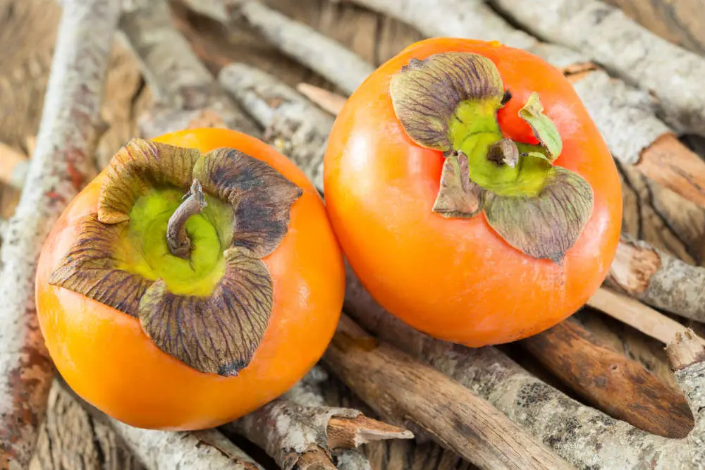 Dürfen Pferde Kaki essen