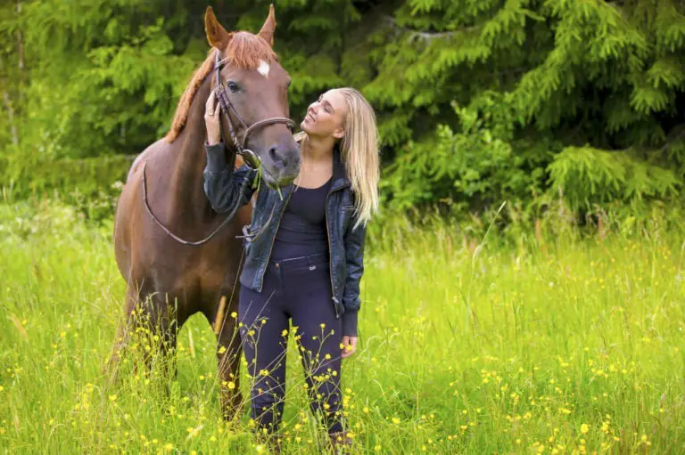 Bild zeigt ein loyales und treues Pferd mit einer Frau