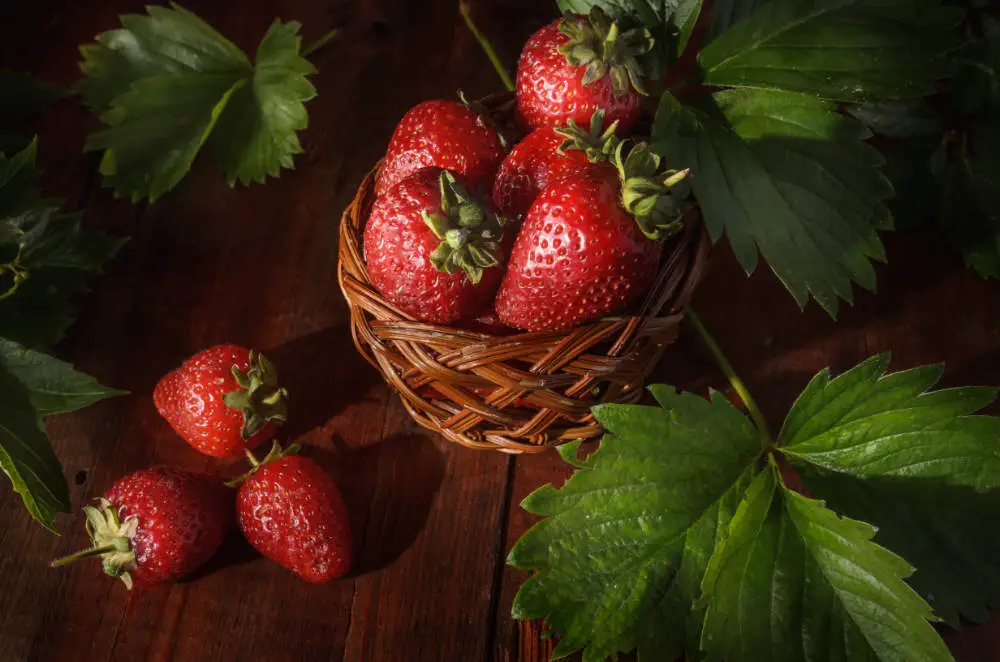 Dürfen Pferde Erdbeeren essen?