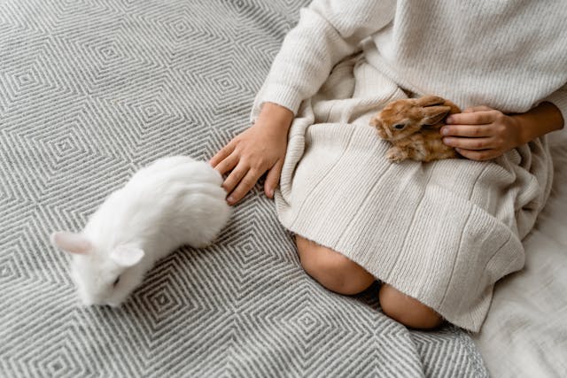 Ein süßes Kaninchen Baby